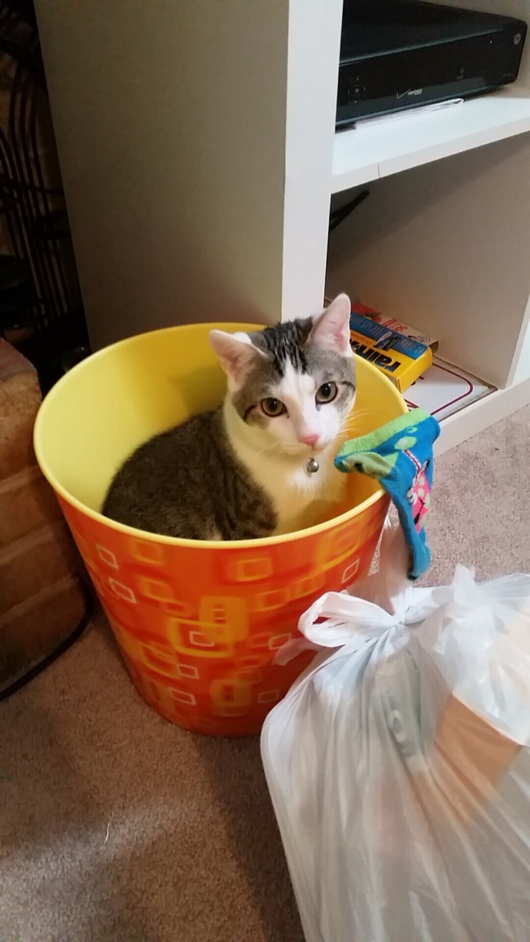 索伯车队险胜红牛二队，诺里斯刷新纪录闪耀F1赛场