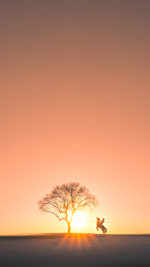 丹麦重剑与东方孤光，当团队利刃遇上个人锋芒