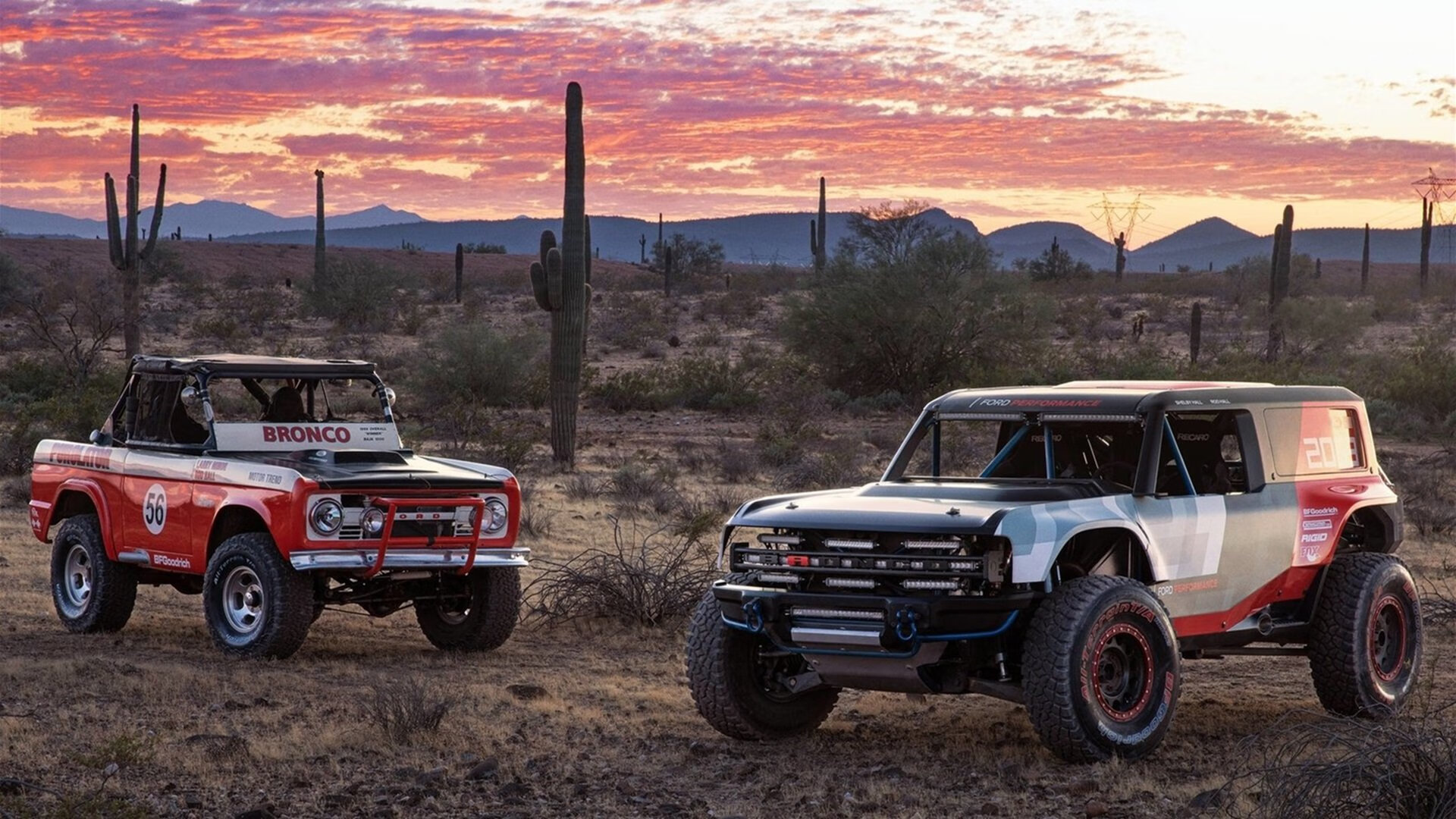 当公牛之盾被国王长矛刺穿，切特在血泊中加冕关键先生