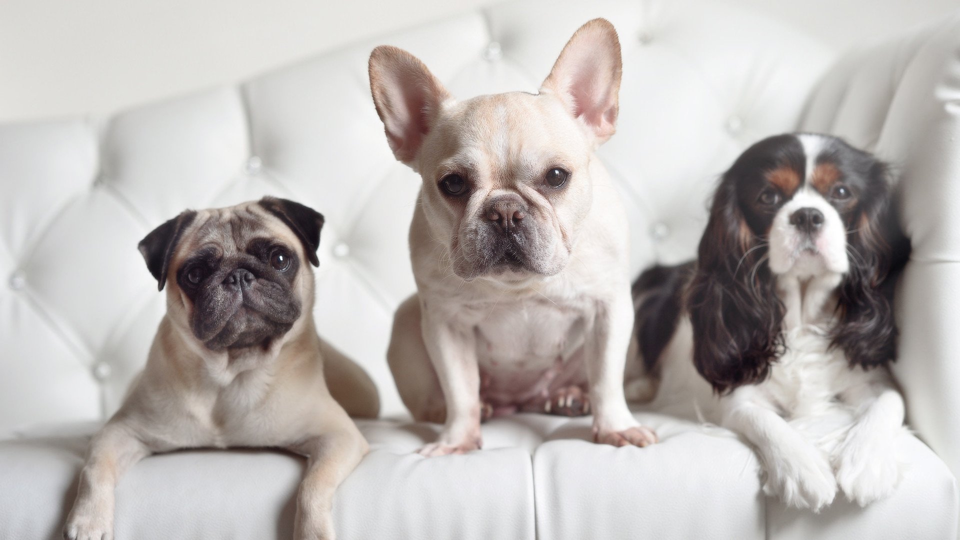 冰岛战术压制切尔西启示录，若日尼奥美加墨世界杯接管比赛的团队哲学