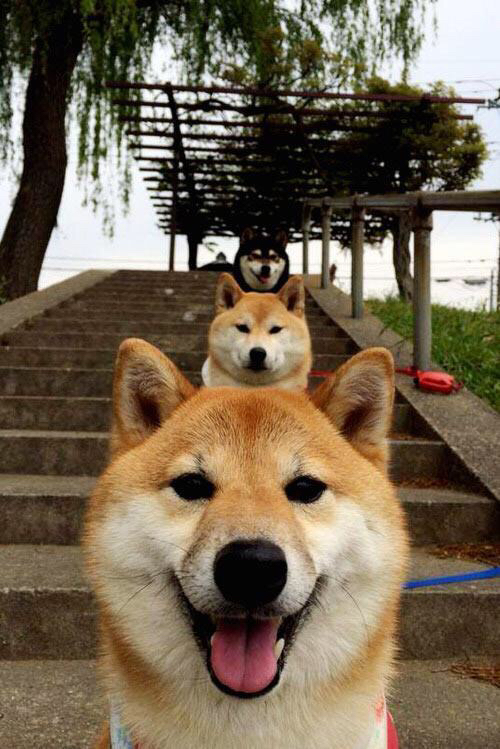 当世界等待姆巴佩对决哈兰德，马丁内利却打出了欧冠决赛史上最不合时宜的统治级演出