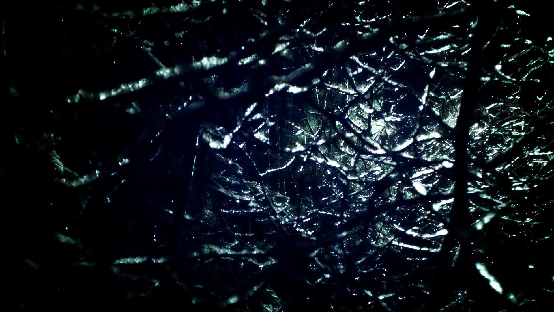 小麦田里的角斗,塞内加尔收割袋鼠军团,卡瓦哈尔奥运周期关键战接管权杖