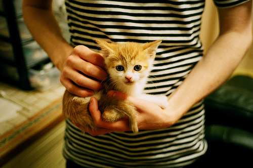 金色闪电，奥利维耶如何以南非之魂统御红牛竞技场