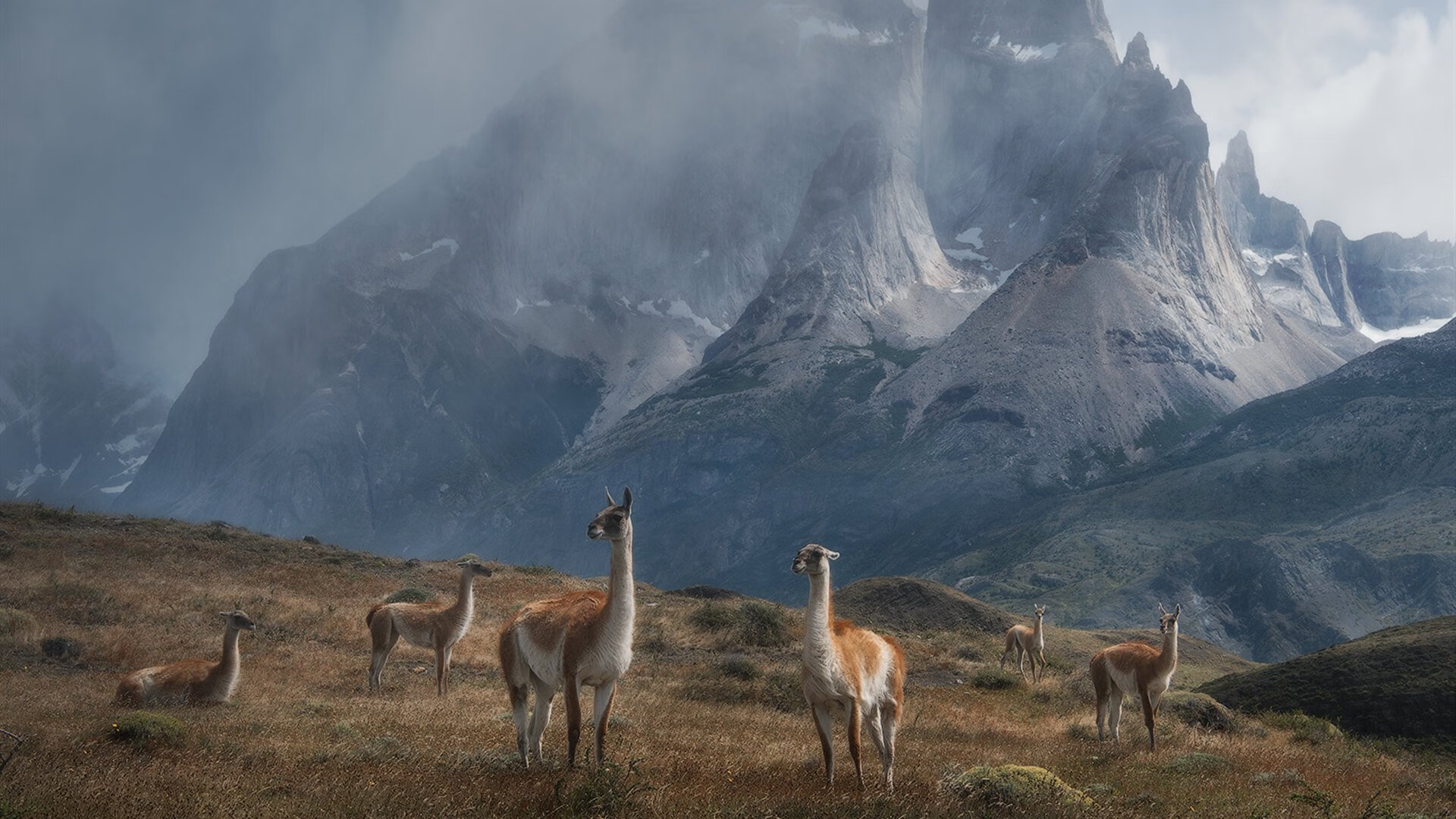 丹佛高原的征服者，西亚卡姆满分表演助掘金踏平魔术