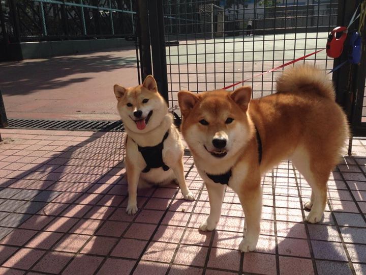 命运岔路口，当勒沃库森粉碎大巴黎，基米希在西甲国家德比接管比赛