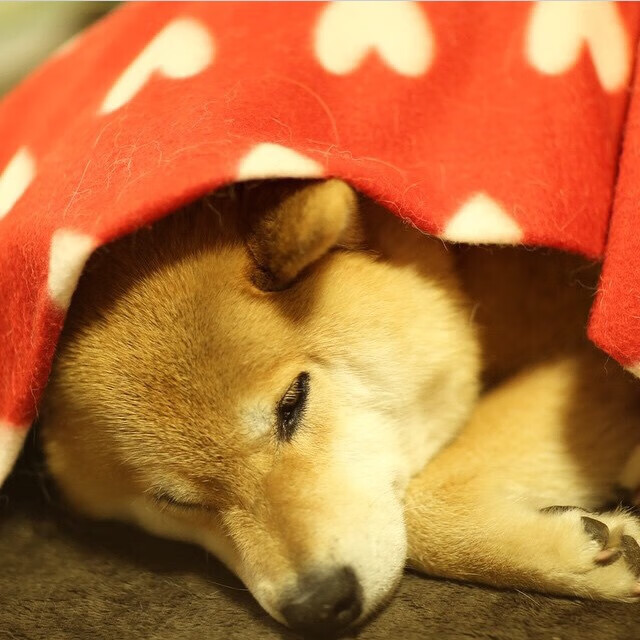 北纬22°的钢铁丛林，当杜兰特式的个人主义席卷东方公牛