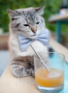 终极悖论，厄德高如何主宰了阿森纳的意外坠落