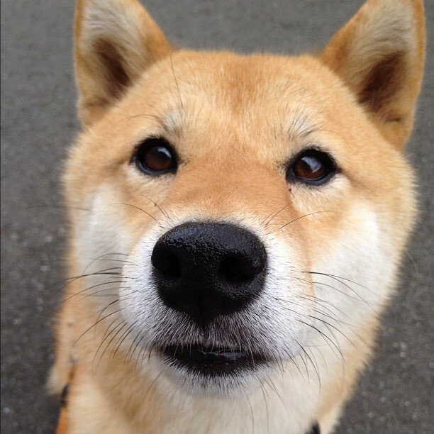 铁壁的艺术，金玟哉如何让巴黎锋线在鏖战中陷入沉默