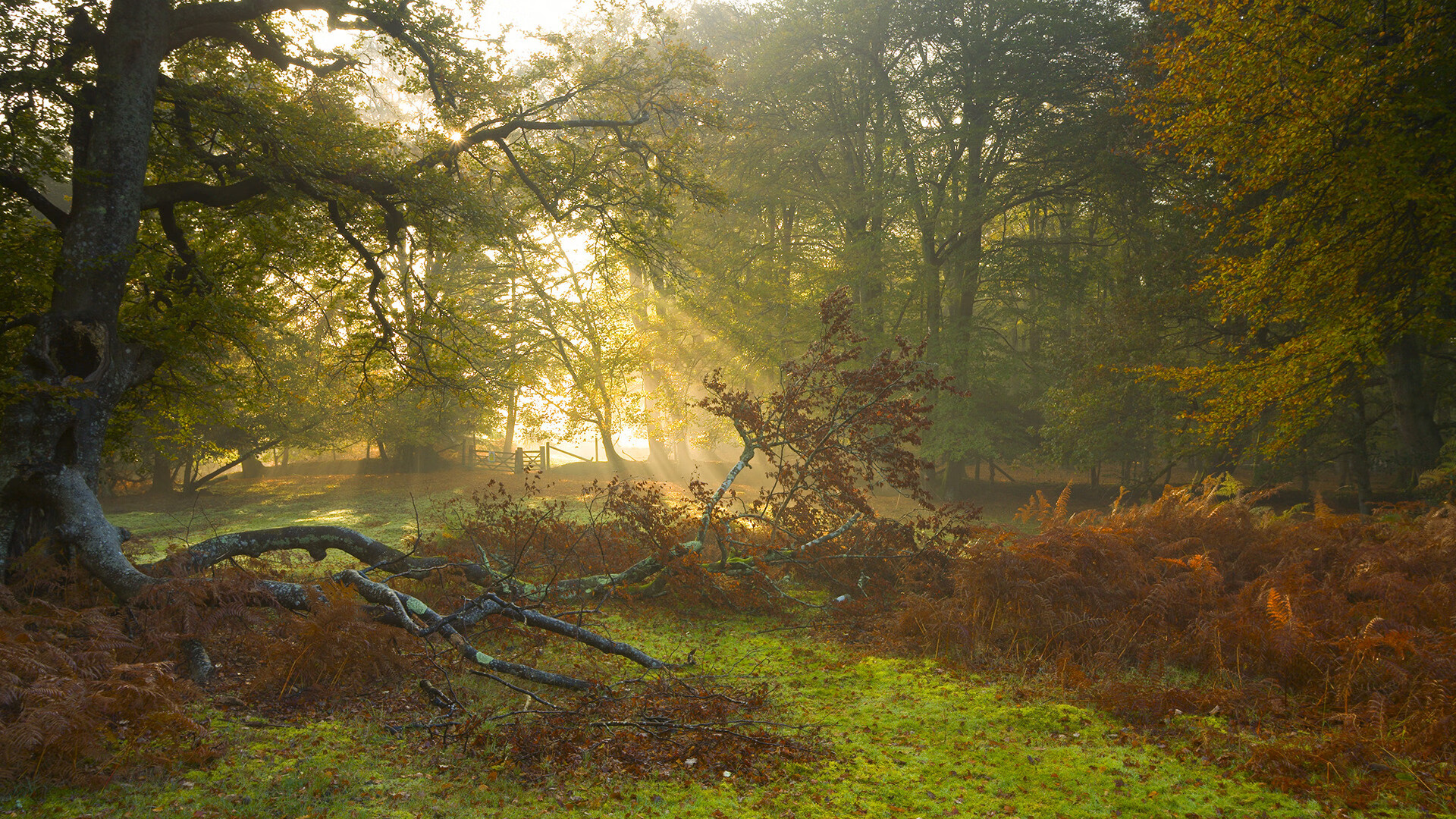 绿茵德比的双面镜,从伊比利亚到北非,战术纪律如何跨越地中海改写命运