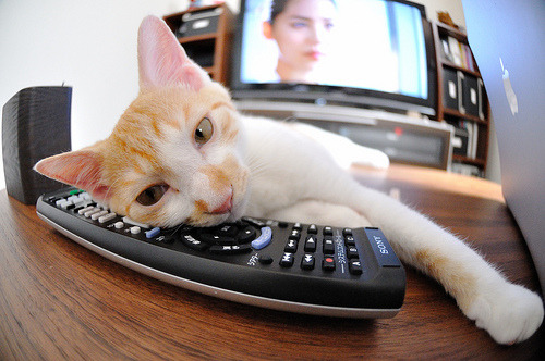 京多安对手完全无解,NBA总决赛之夜的跨界启示