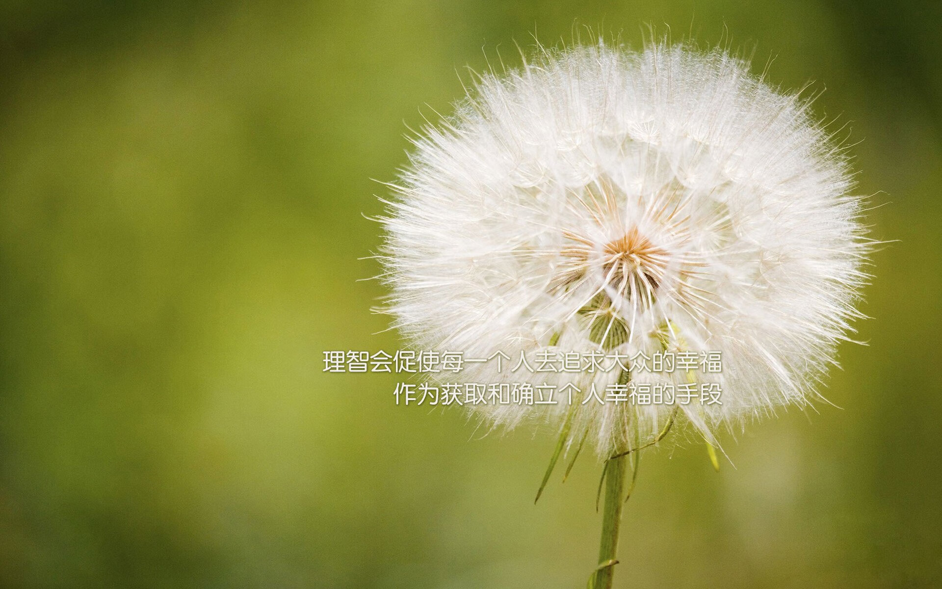 平行宇宙的篮球对话，当锡安统治禁区遇上北京队的得分洪流