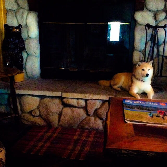 爱游戏在线-范弗利特生死战接管比赛，篮网加时力克太阳晋级